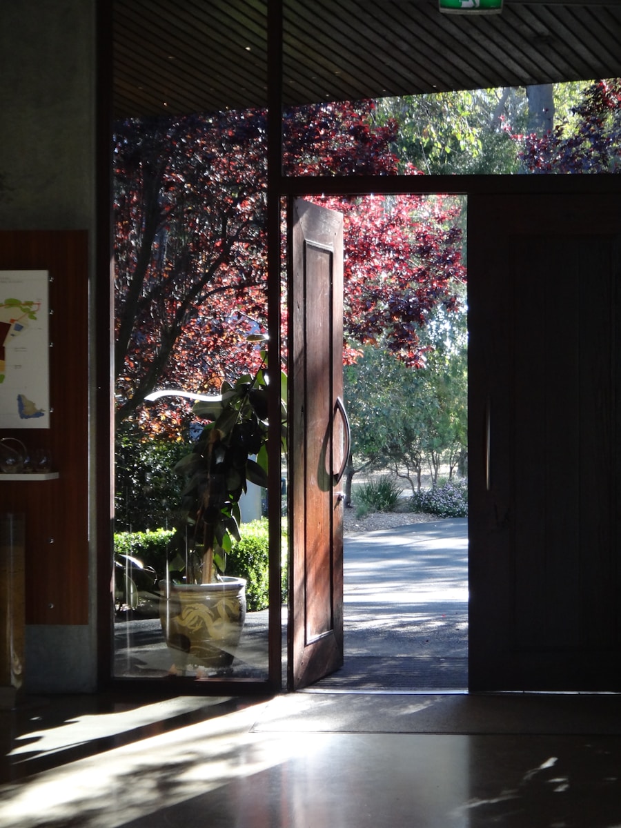 An open door leading to a patio with a potted plant